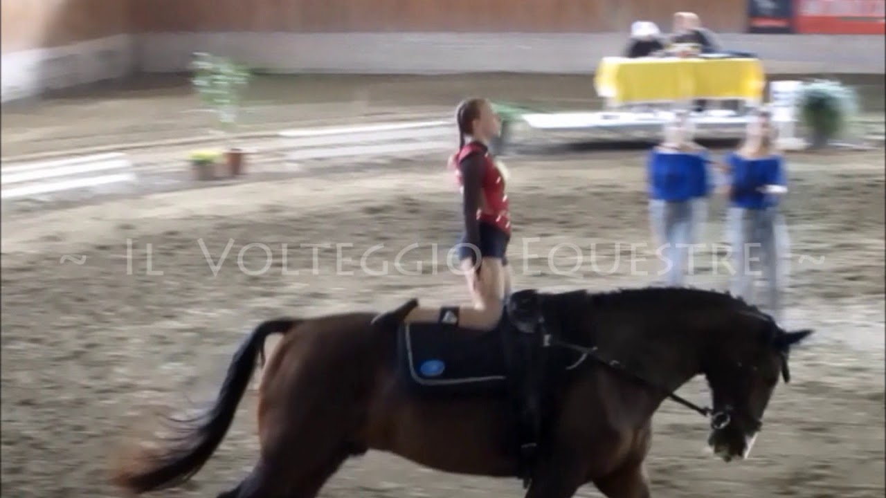Campionato Veneto Volteggio 2018 - squadra D - 1° Il Cavallo è Vita