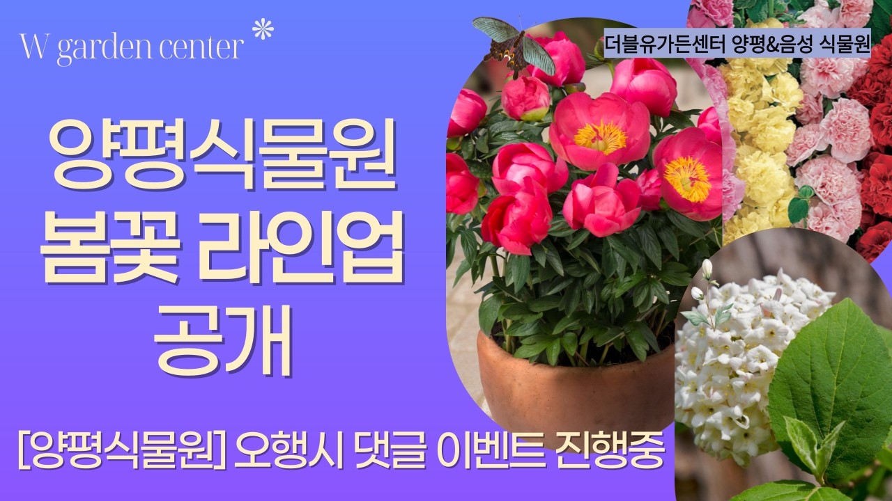 양평식물원 매장투어 봄꽃 라인업 공개｜[양평식물원] 오행시 댓글 이벤트 목단드려요