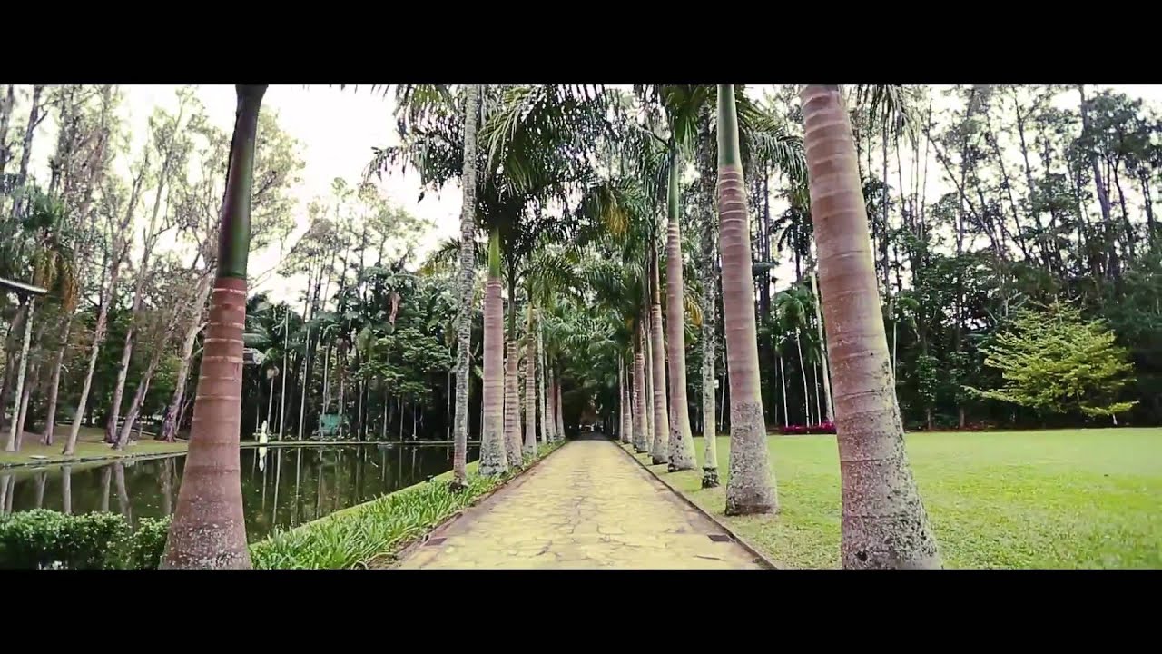 #Fazenda7Lagoas #casamentonocampo #casamentoDeboraheBruno