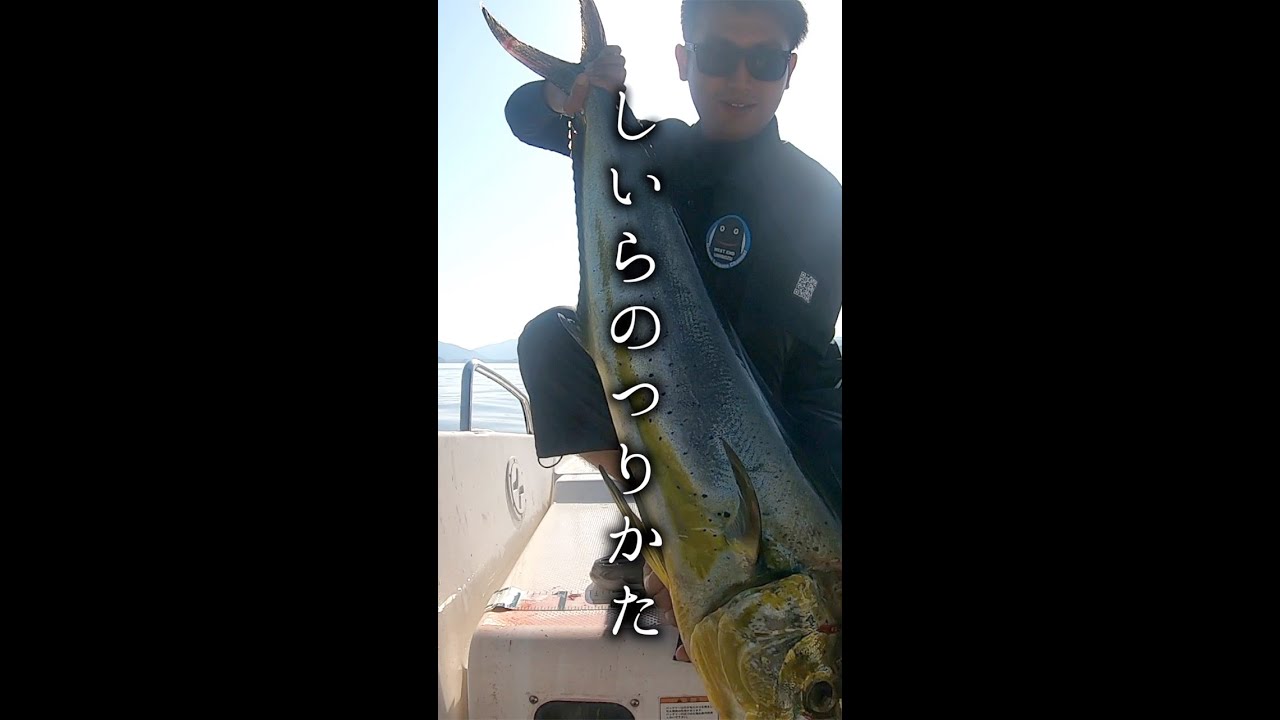 しいらのつりかた #shorts