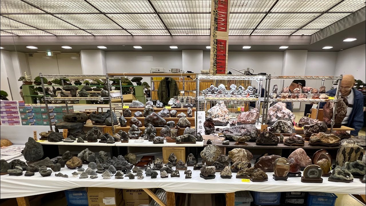 【４ＫBonsai】 43nd BONSAI TAIKAN GRAND EXHIBITION 第43回 日本盆栽大観展 Kyoto Miyako Messe 京都みやこめっせ Part2