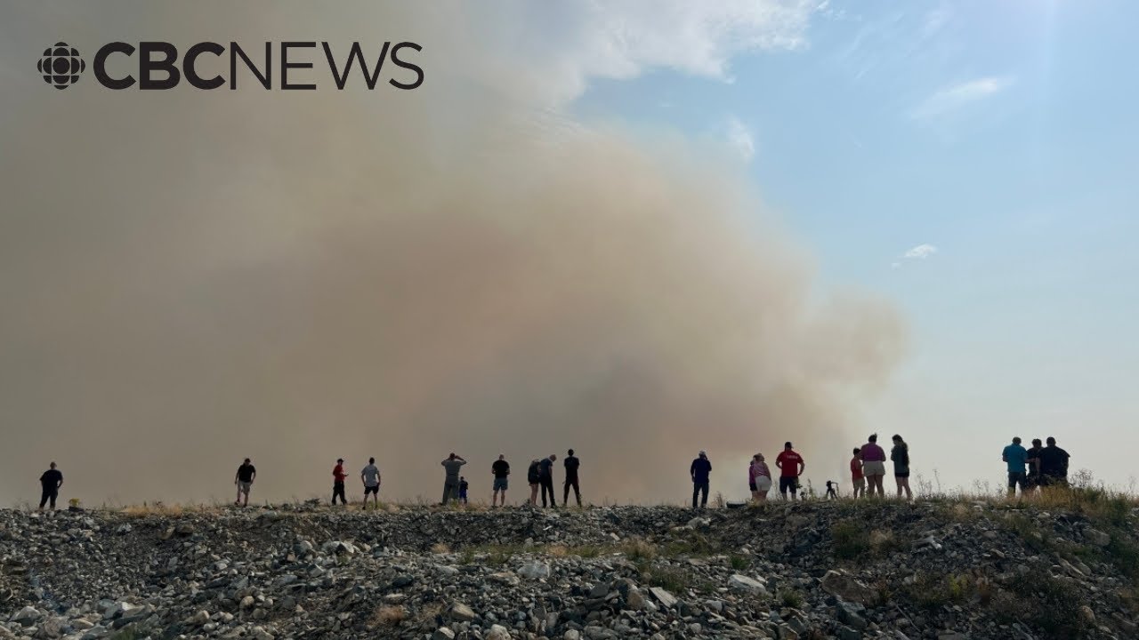 ‘Like a bad, apocalyptic horror film’: N.L. evacuee describes wildfire