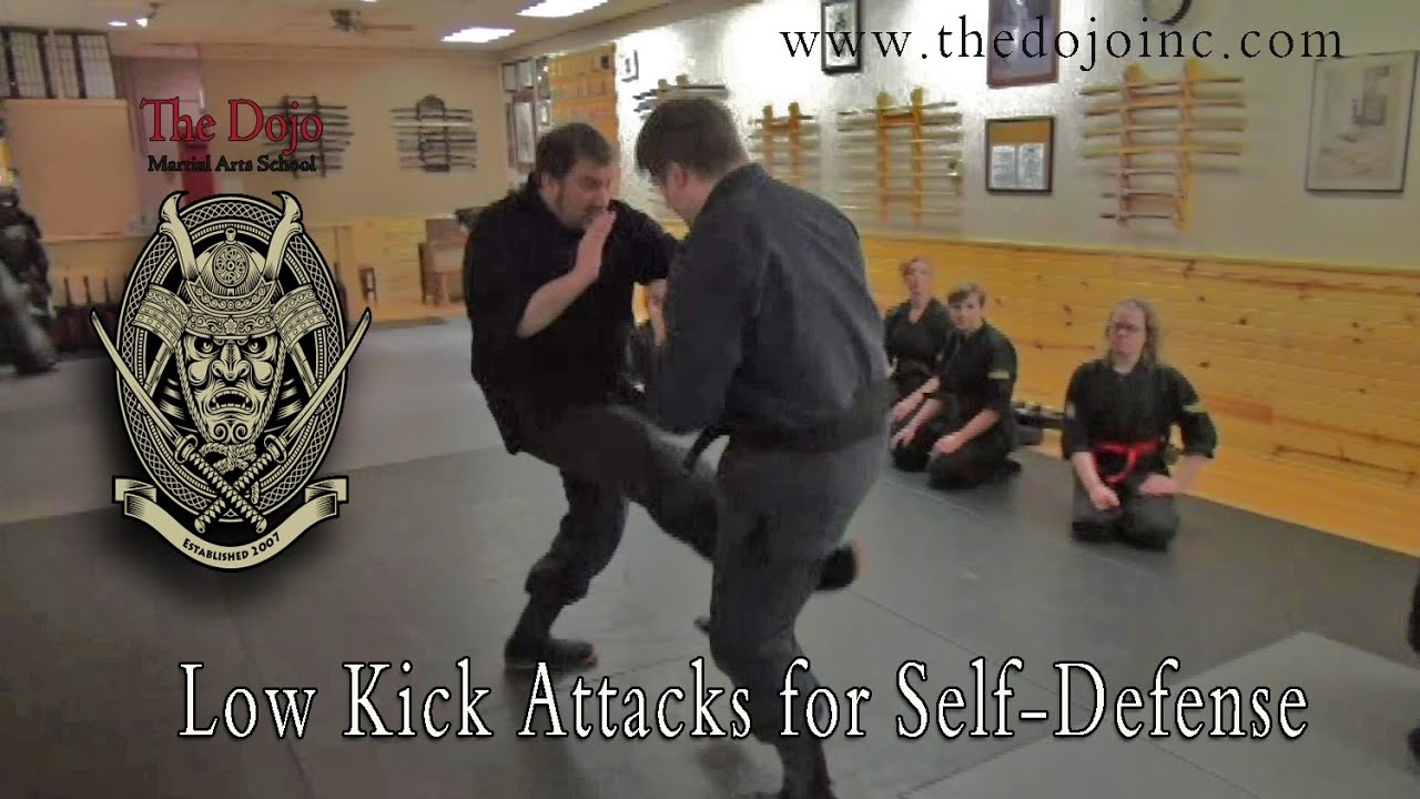 Kicks for Defense and Distraction - The Dojo Martial Arts