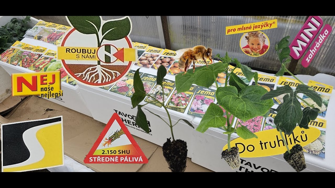 ÚNOROVÝ VÝSEV: Papriky, Cibule a Petúnie! Jak (ne)chybovat na startu sezóny. 🌱🌶️