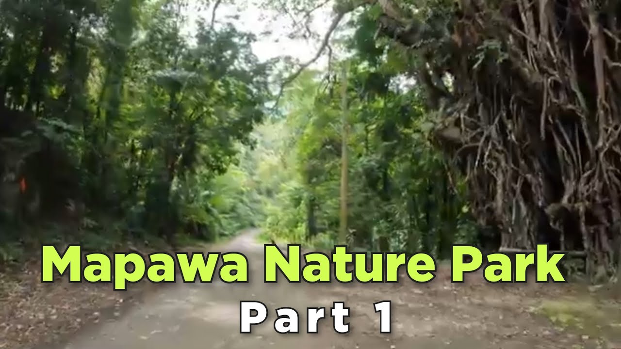 Malasag to Mapawa Nature Park Part 1/Cagayan de Oro City/Philippines