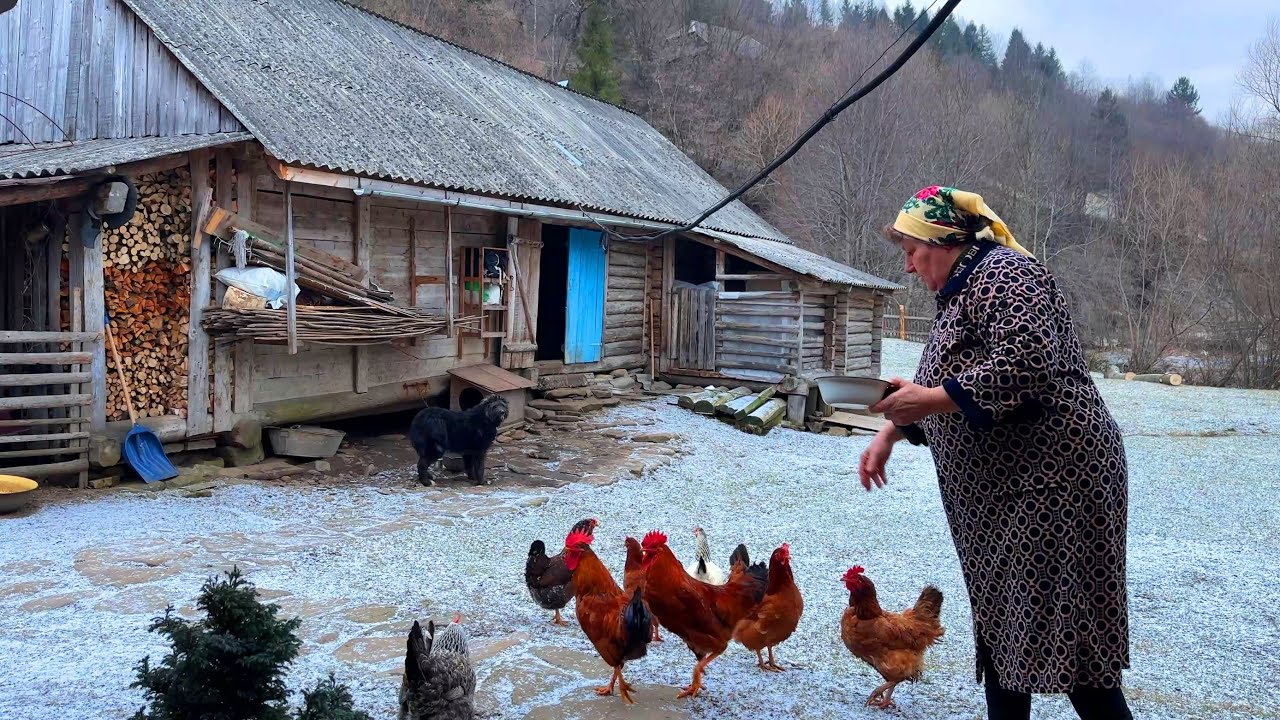 Rural life, cooking borscht and pies with cheese