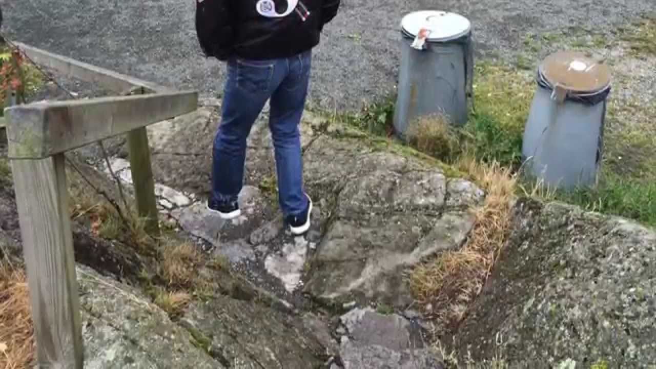 The Speed Of the sound of lonelines