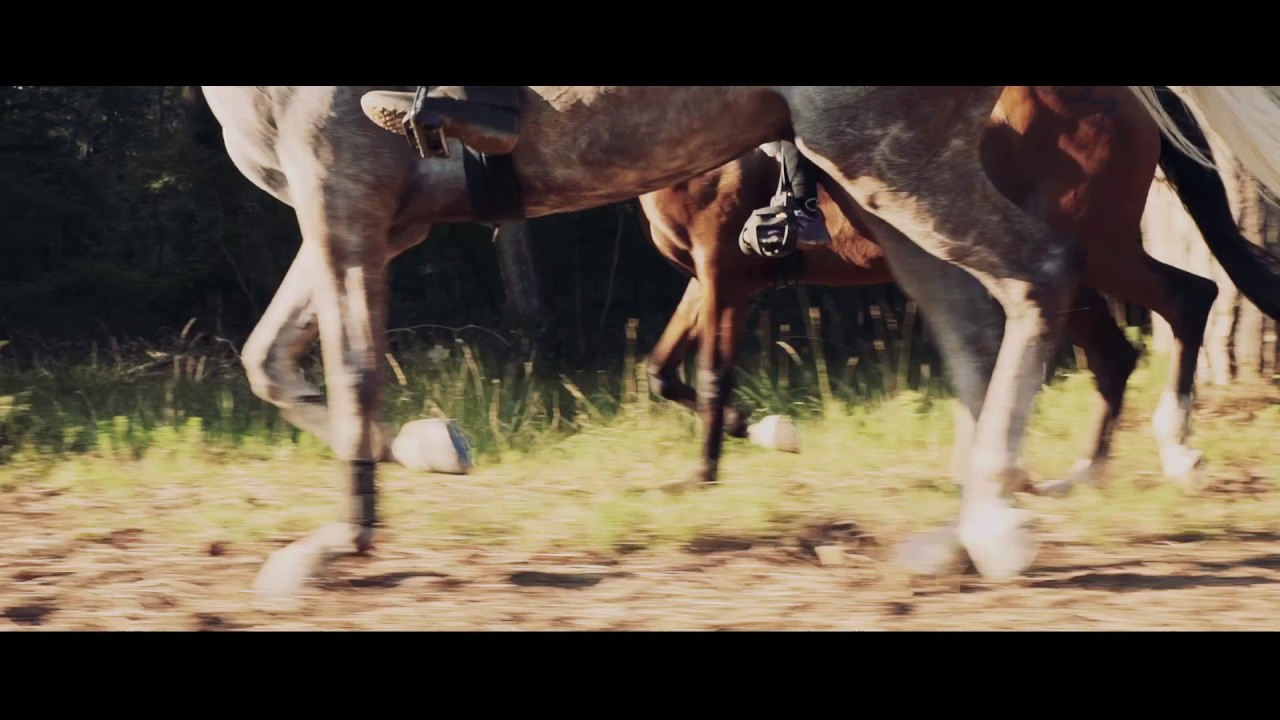 Trailer Toscana Endurance Lifestyle 2017