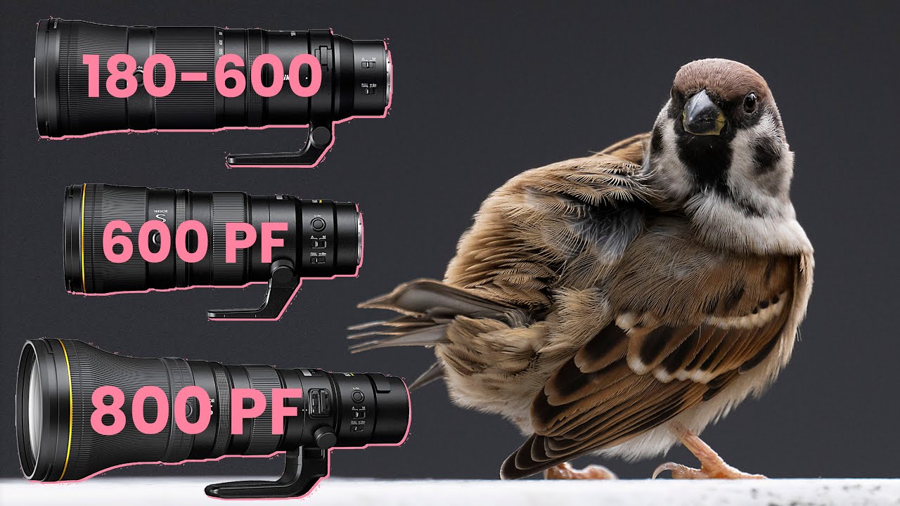 Nikon 180-600 против 600 PF против 800 PF