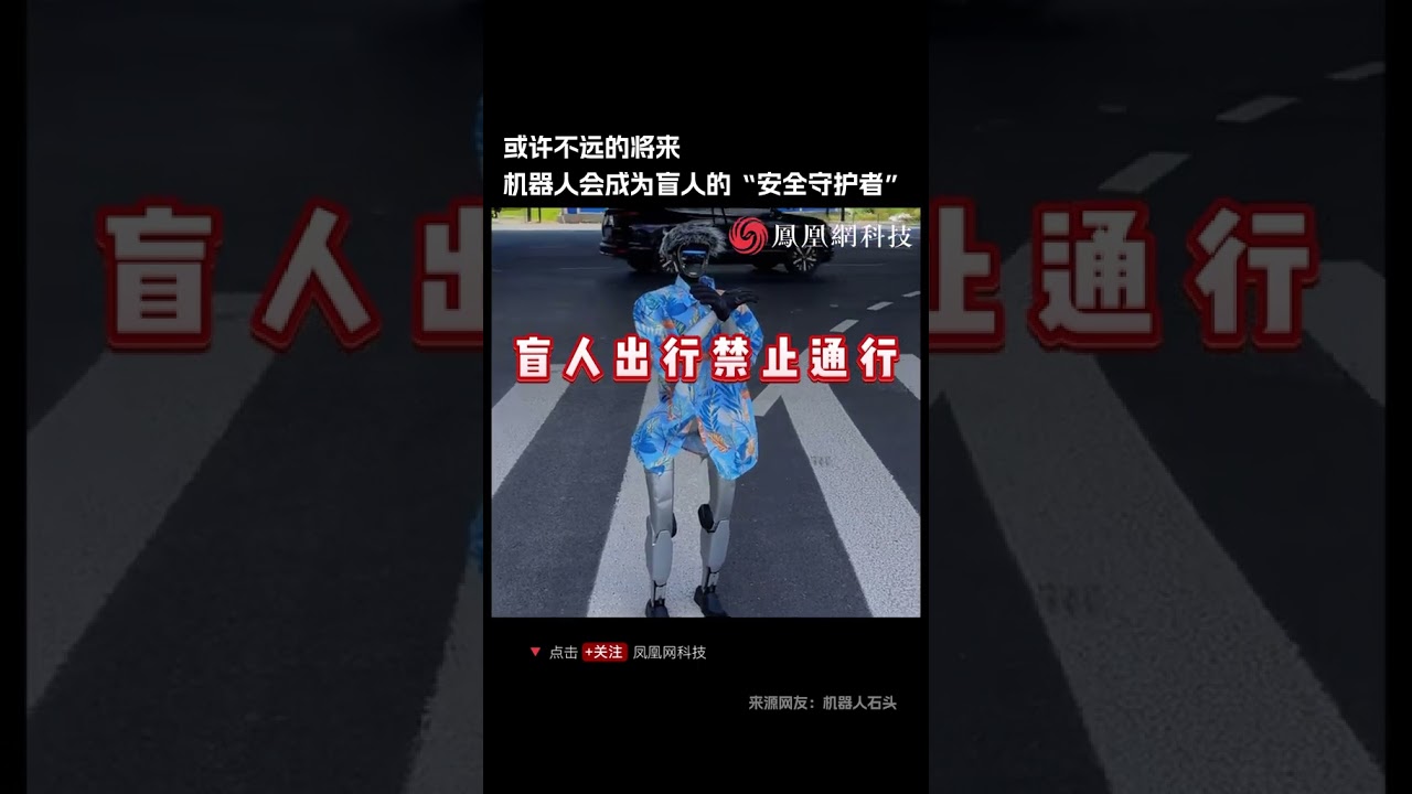 或许不远的将来，机器人会成为盲人的&ldquo;安全守护者&rdquo;