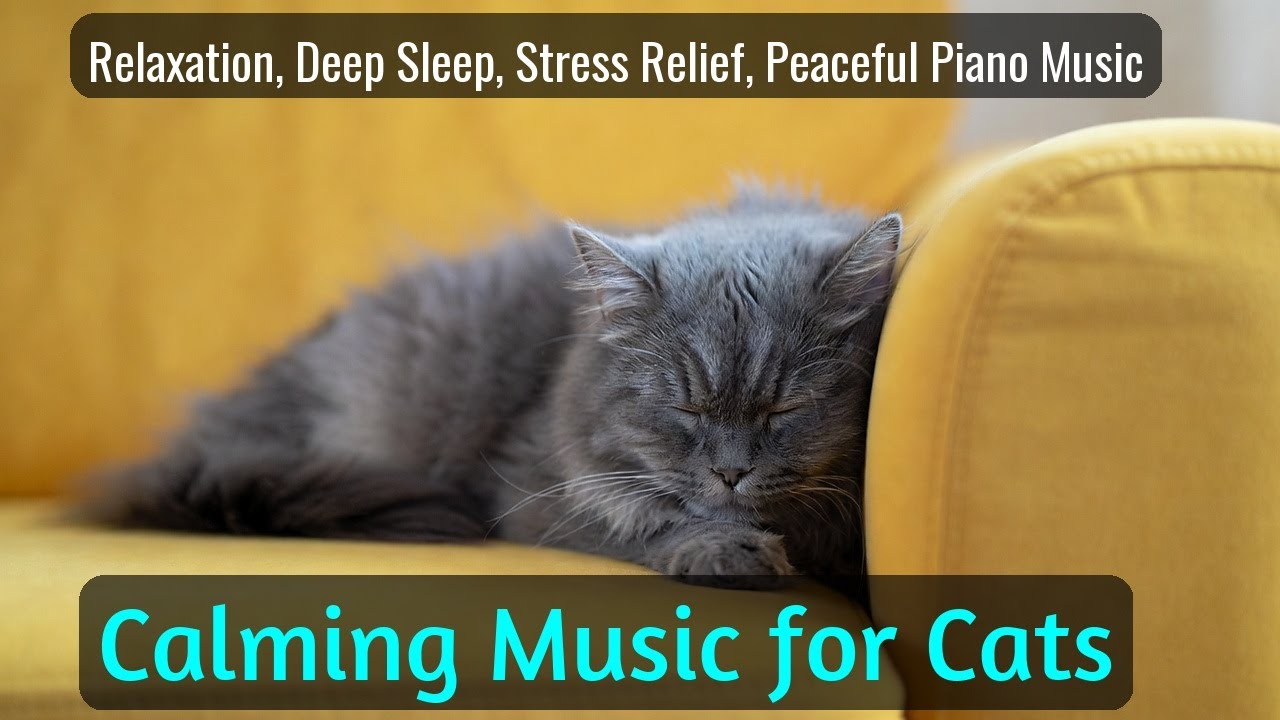 Calming Music for Cats - Relaxation, Deep Sleep, Stress Relief, Peaceful Piano Music | Season 22