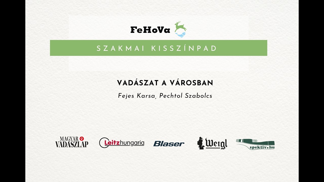 Vadászat a városban