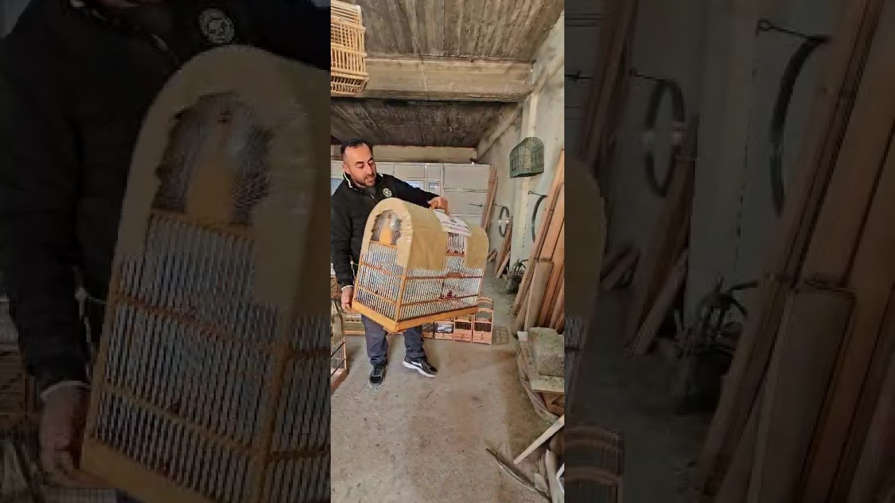 اقفاص حسون