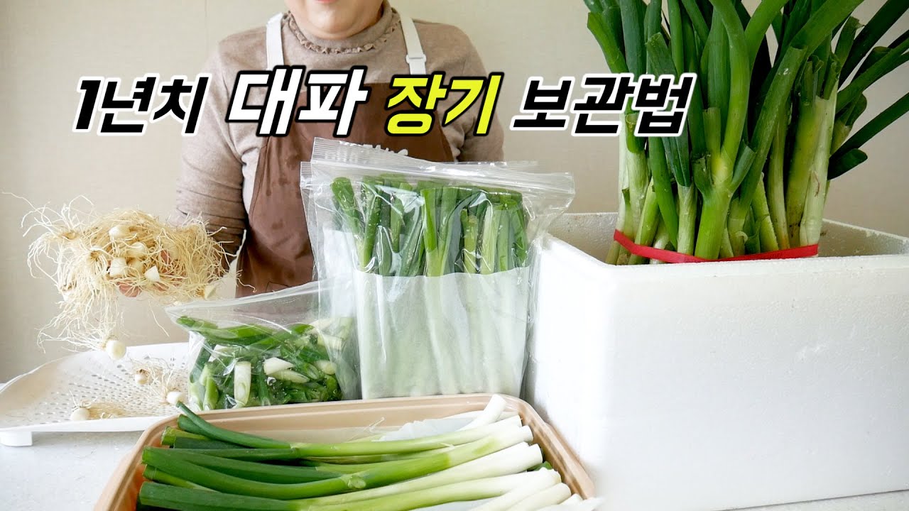 1년동안 장기보관하고 먹는 대파 보관법