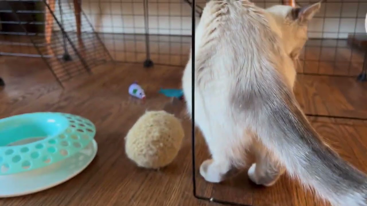 IKARE Cat Cage Large DIY Indoor Pet Home