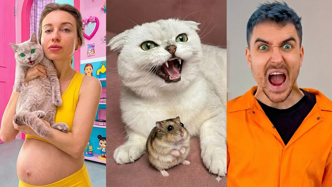 CRAZIEST Cats Compilation 😻😂 l Try Not To Laugh At These KITTENS 2026