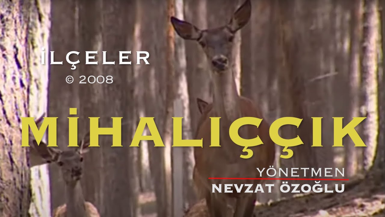MİHALIÇCIK - Eskişehir