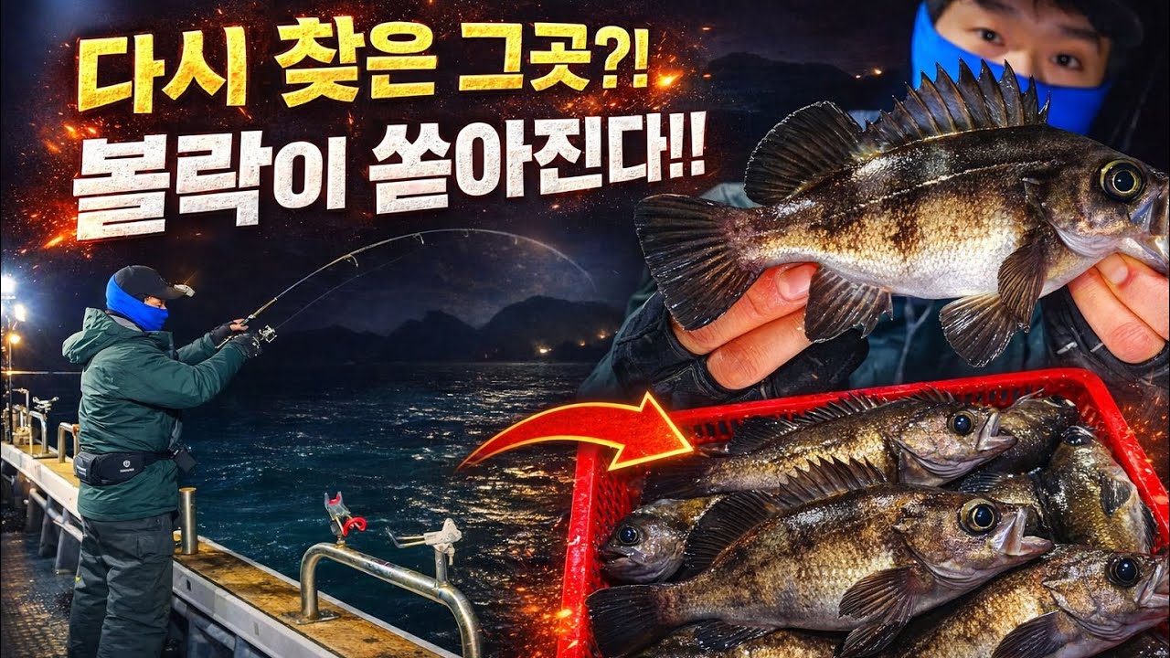 선상 볼락 루어 낚시 | 다시 찾은 이유