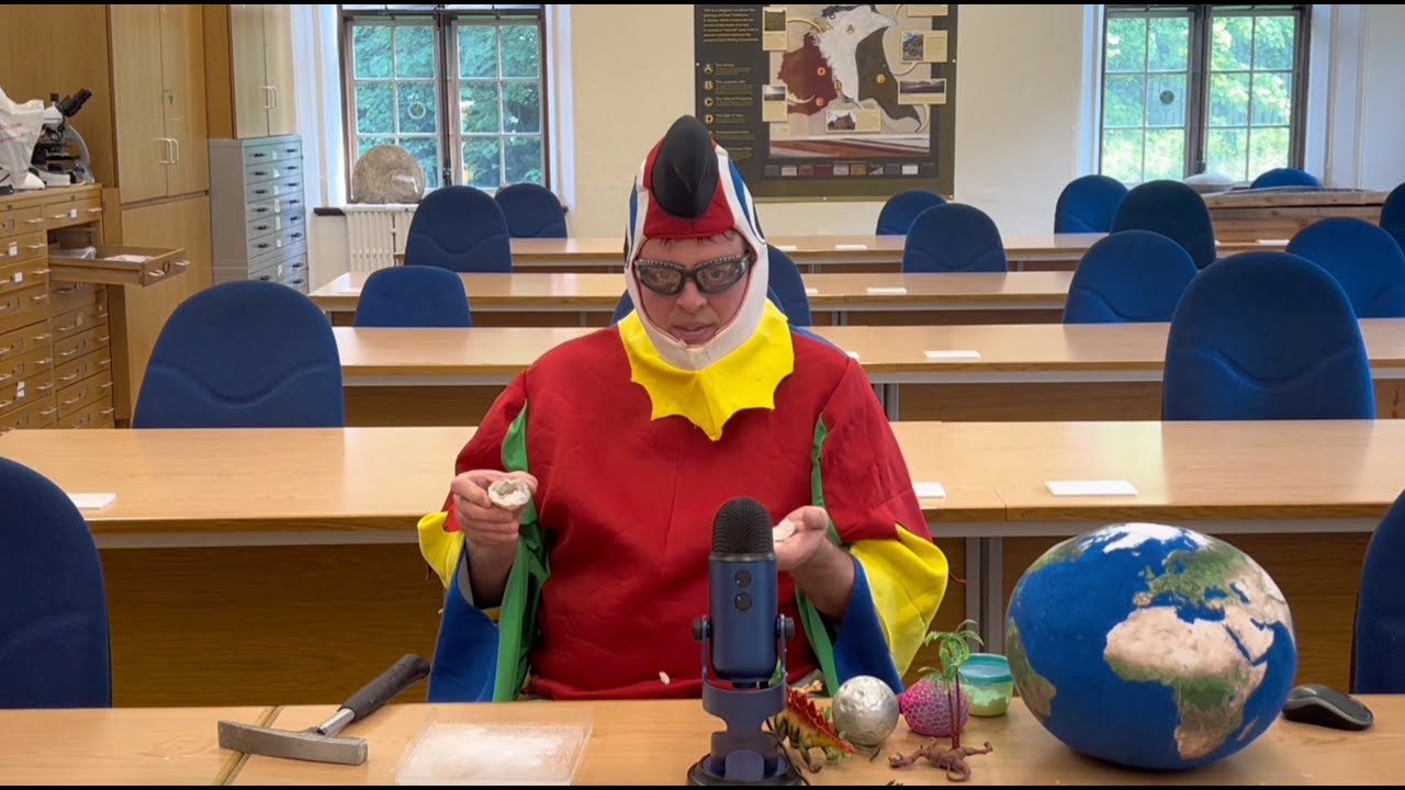 ASMR & mass extinctions with Prof Bond