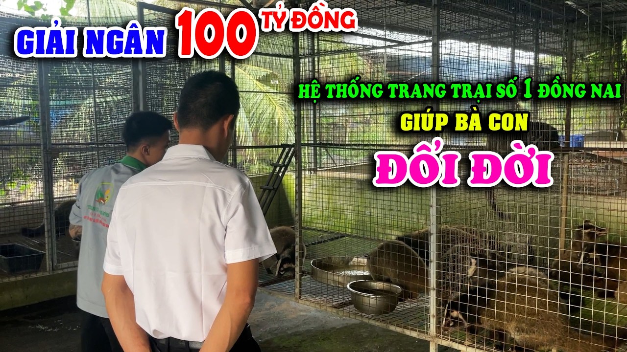 HỆ THỐNG TRANG TRẠI ĐVHD SỐ 1 ĐỒNG NAI GIẢI NGÂN 100 TỶ ĐỒNG GIÚP BÀ CON LÀM GIÀU TỪ CHỒN MỐC