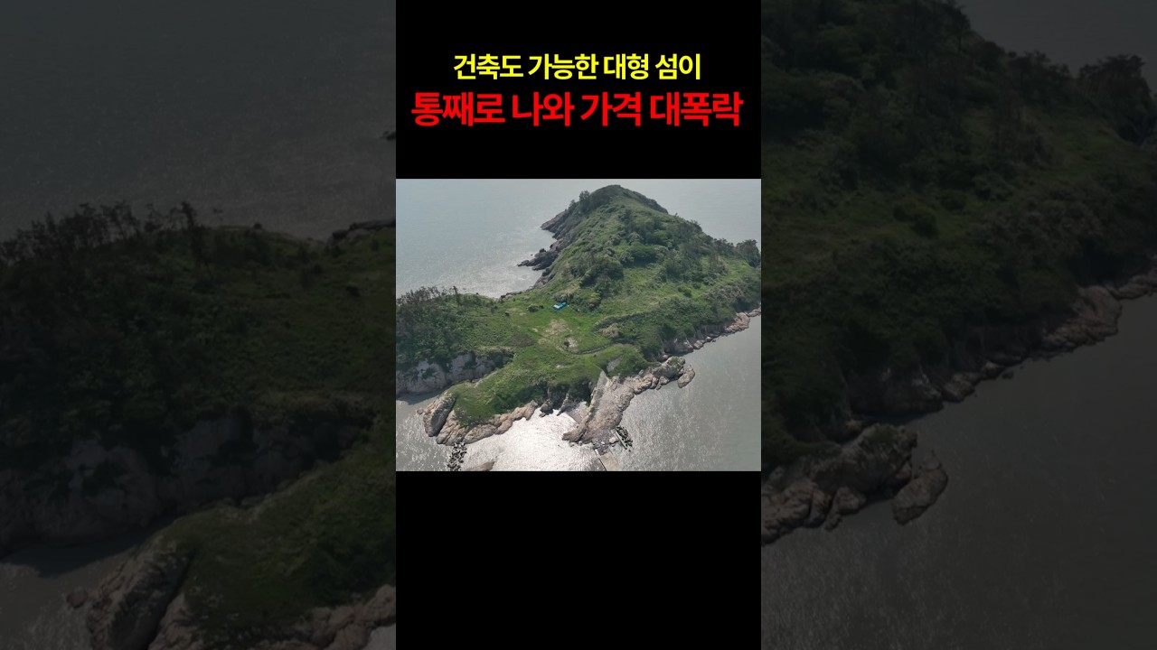 건축도 가능한 대형 섬이 통째로 가격 대폭락 했습니다 #오지 #경매 #섬 #토지 #부동산 #자연인땅
