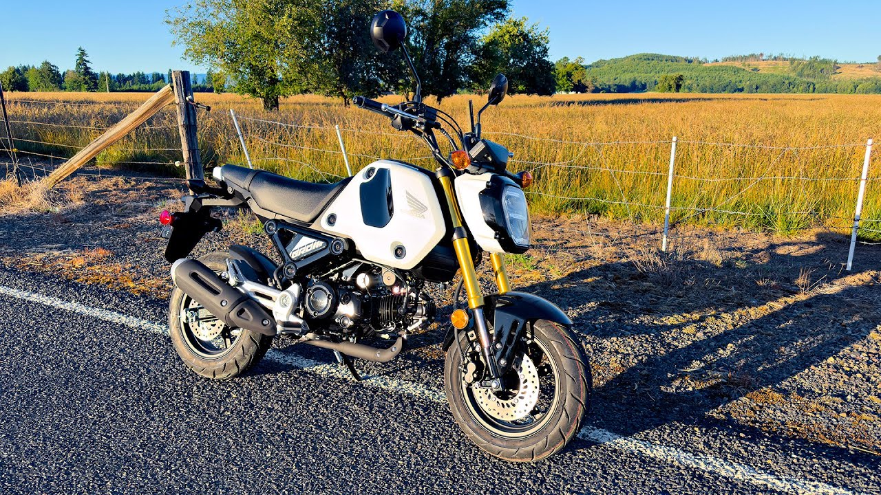 2024 Grom Comes Home!! • Amazing First Ride..! | TheSmoaks Vlog_2783