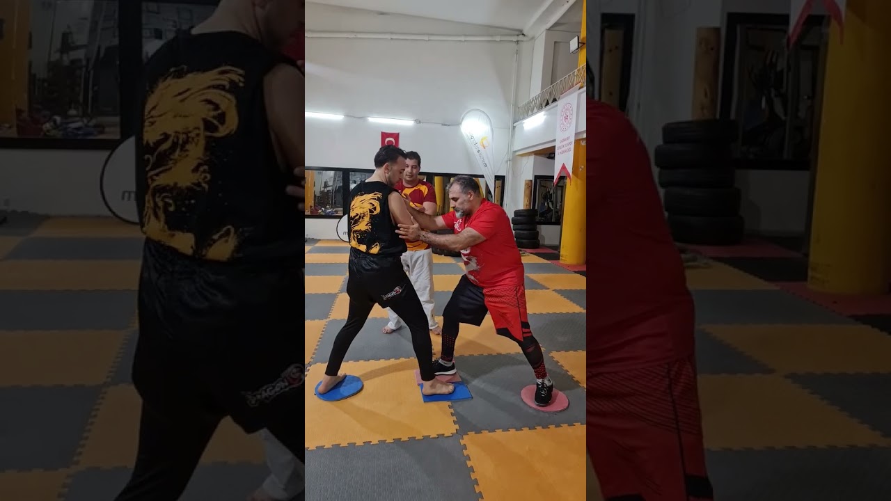 TUİ SHOU PUSH HANDS FIXED STEP