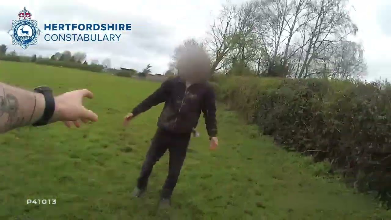 ‘I’m off bird watching’ – really?!