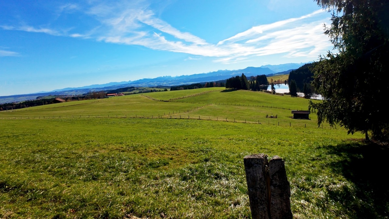 Golden November in the Allgäu – You Won’t Believe This Perfect Day in Germany