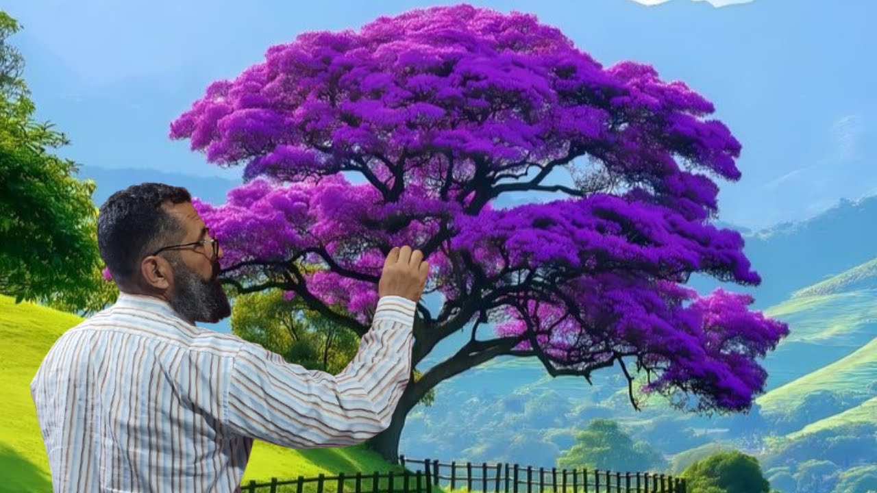 تعلم رسم المناظر طبيعيه بالفرشاة خطوة بخطوة منظر جميل
