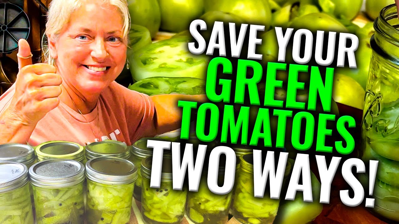 How to  Preserve Green Tomatoes? - Pickles and Fried Green Tomatoes