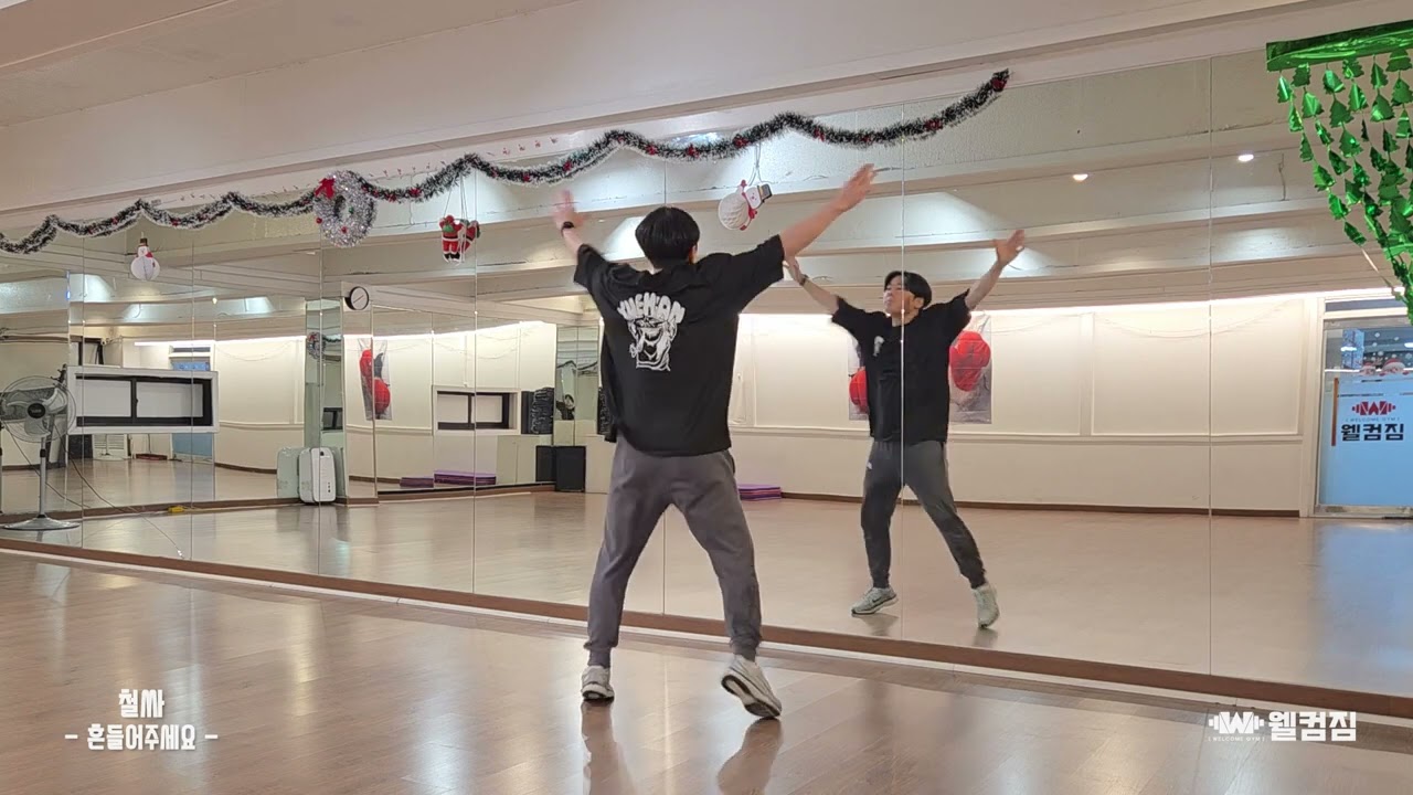 Iron Man (Noh Hong-chul & Psy - Shake It (Dance Mirror Mode)