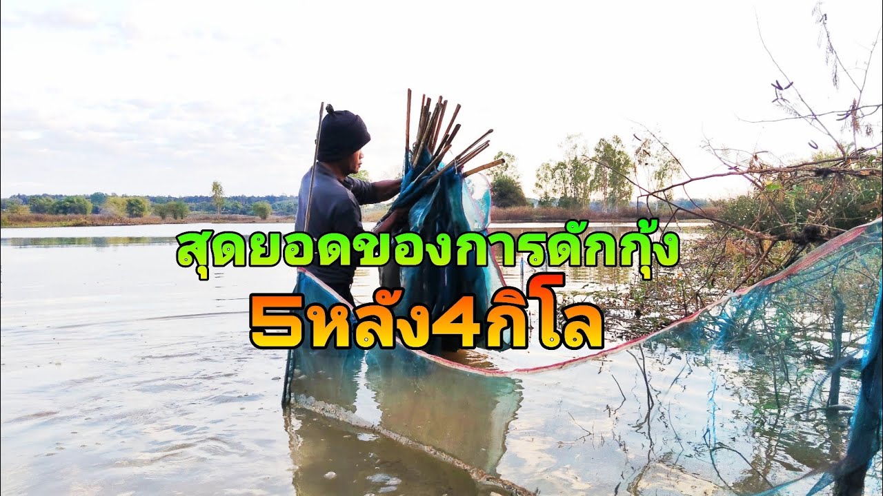 อุปกรณ์ดักกุ้งยอดเยี่ยมของยุคนี้5หลัง4กิโล