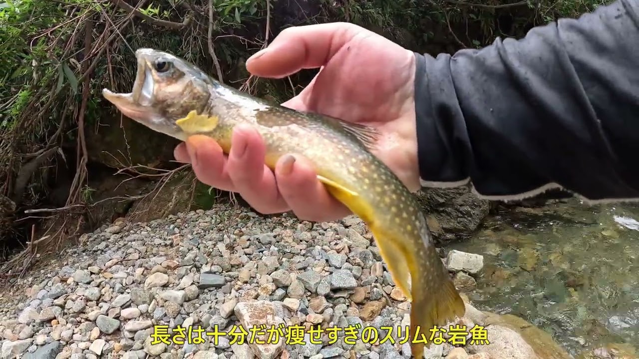 荒れた渓谷、岩魚の楽園は上流域に存在した。（会津の渓流釣り）