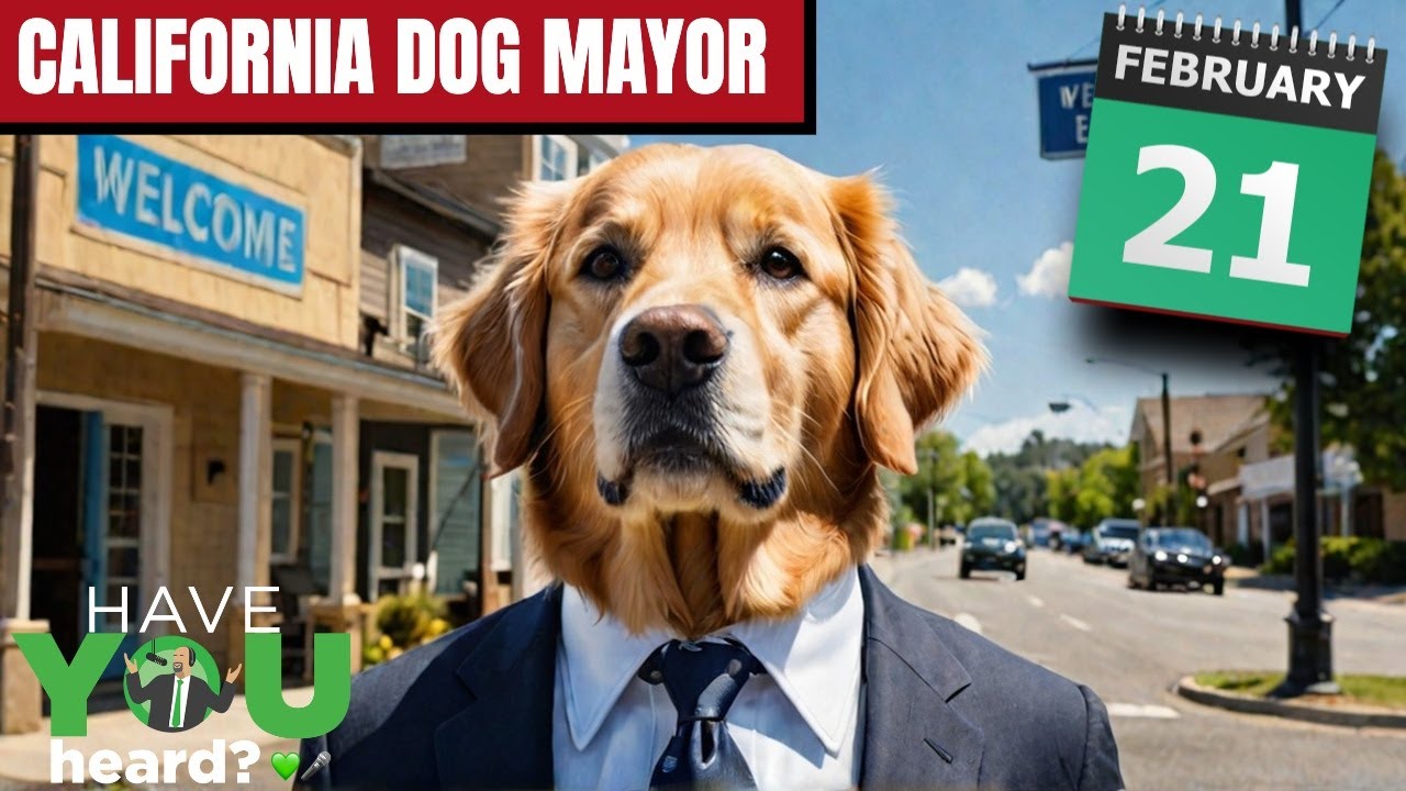 This Town Elected a DOG as Mayor... For 10 YEARS! 🐕 | Have YOU Heard?