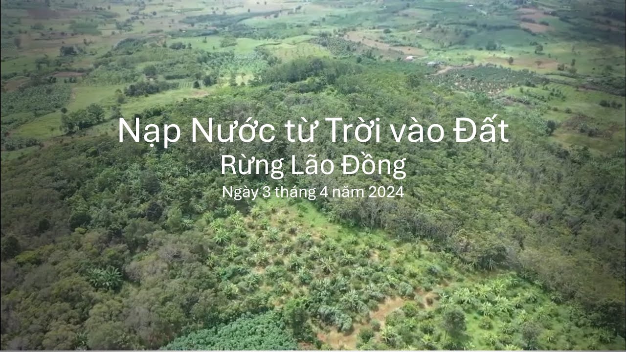 Nạp nước từ trời vào đất _Vườn Lão Đồng