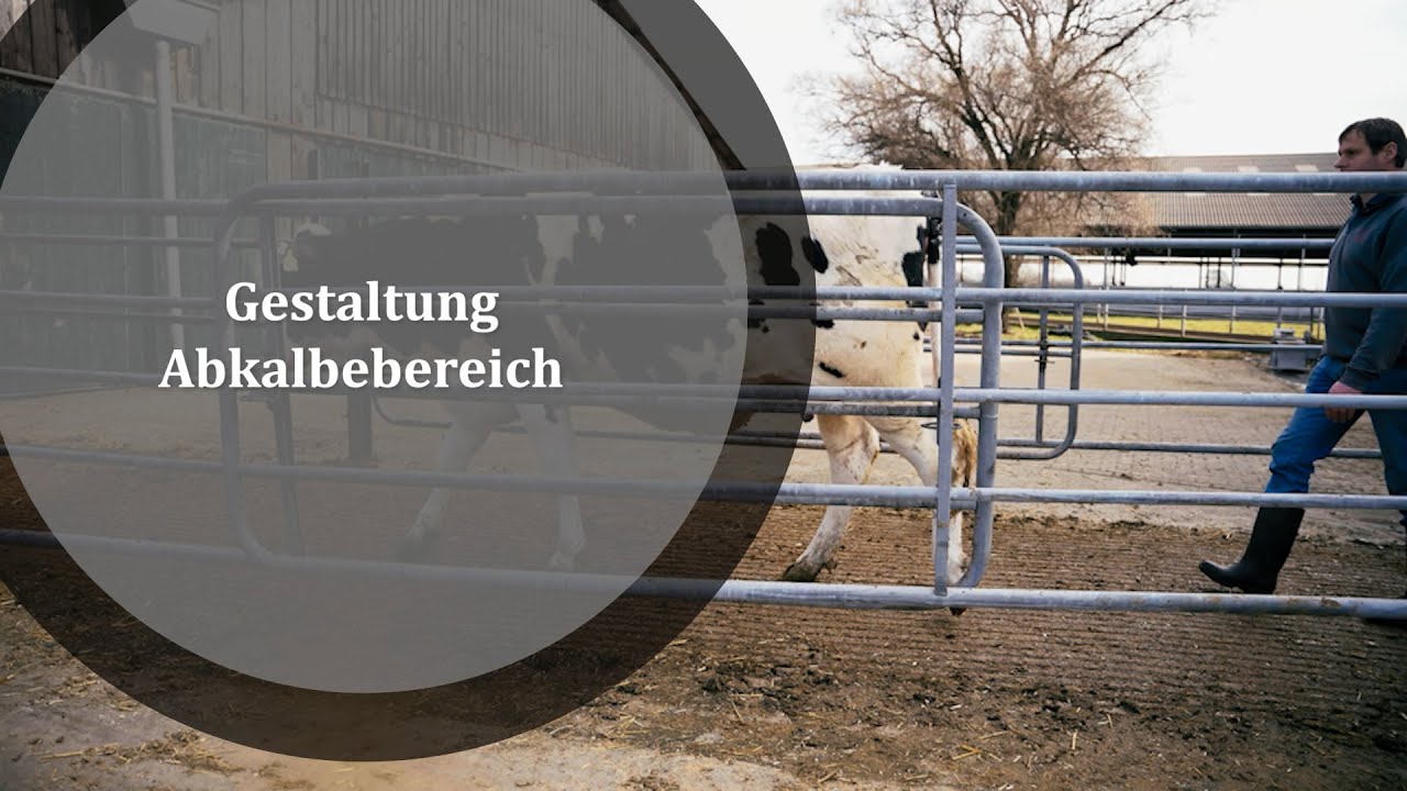 Gestaltung Abkalbebereich