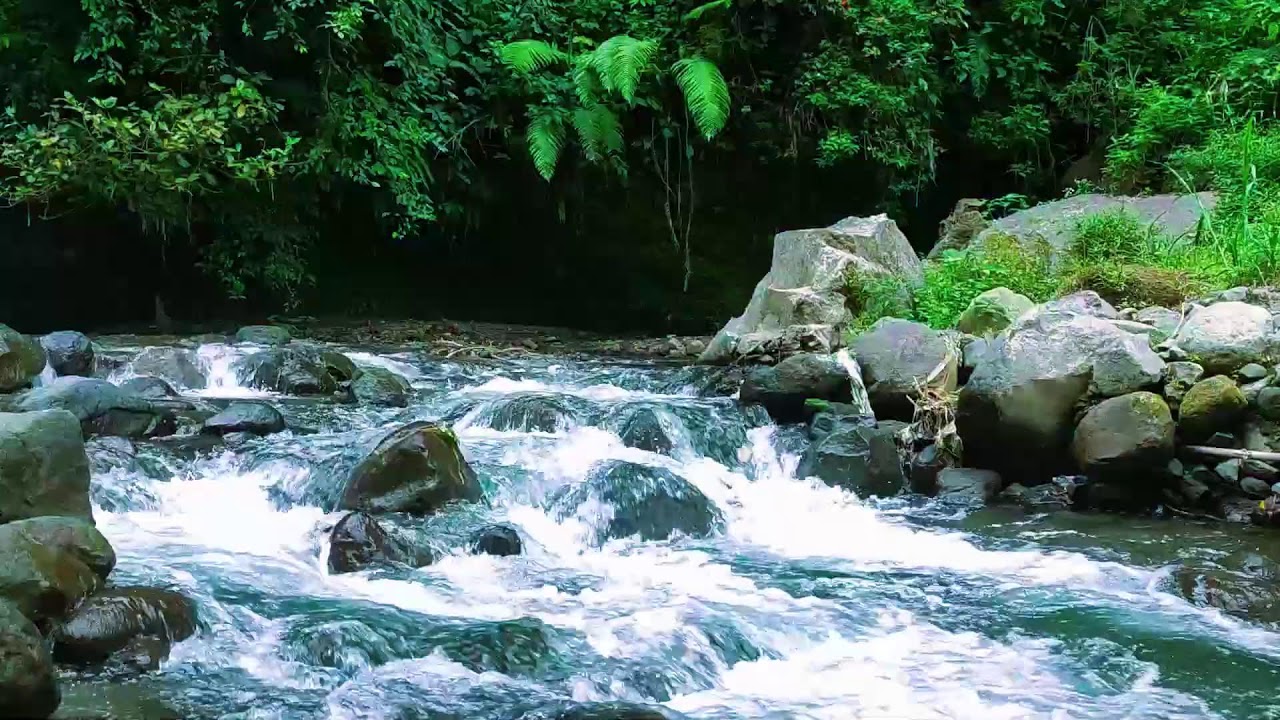 Soft River Water Sounds  Relaxing White Noise for Sleeping