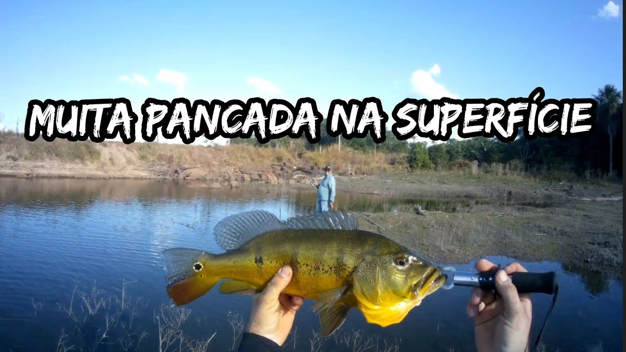 PESCARIA DE TUCUNAR&Eacute; 100% ISCAS DE SUPERF&Iacute;CIE - Pescaria em fam&iacute;lia