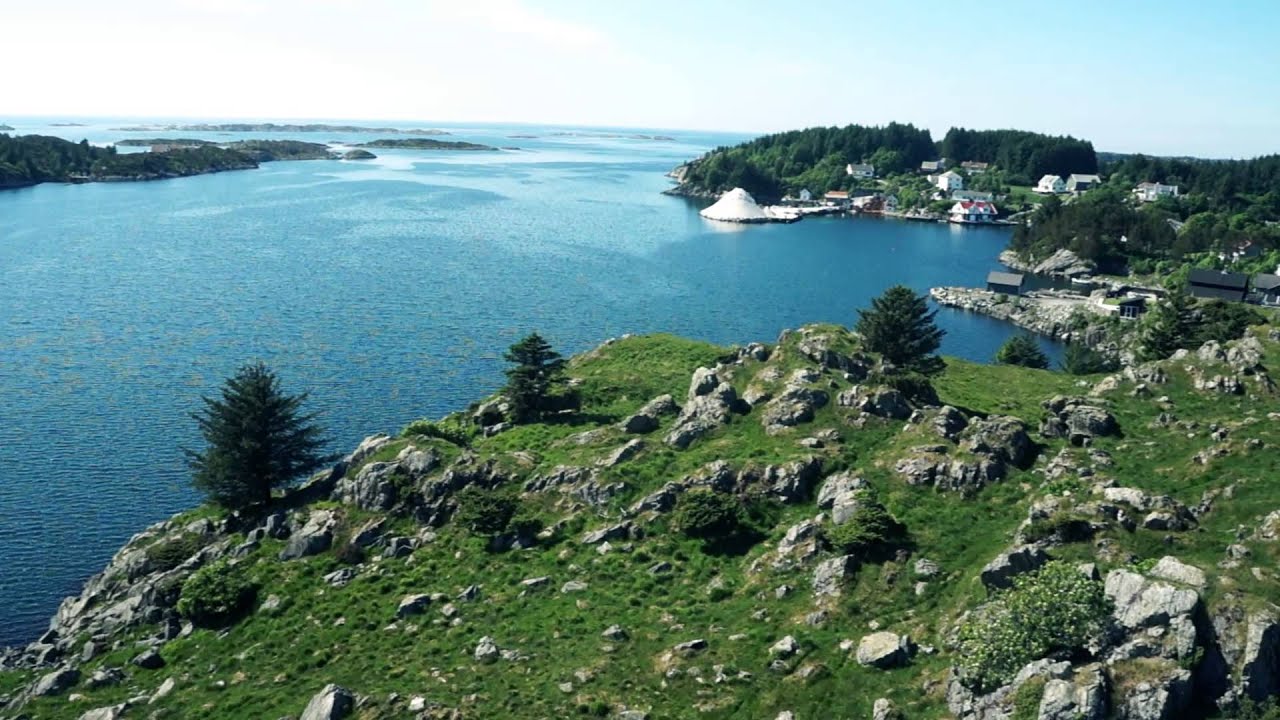 Veavågen