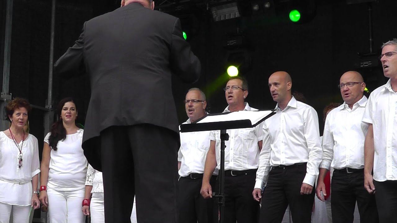 vocal group happy sound 2013-8-25 33