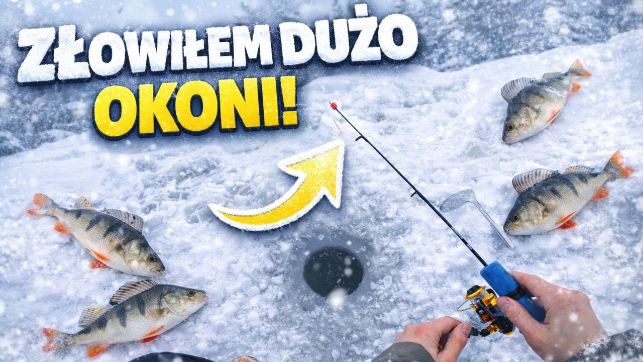 ZŁOWIŁEM DUŻO OKONI !❄️  Mormyszka Pod Lodem ! #wędkarstwo  #icefishing