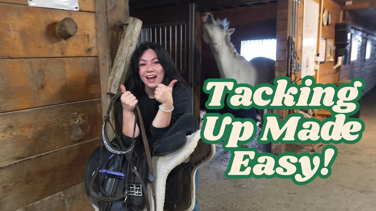 How to Tack Up a Horse the EASY way