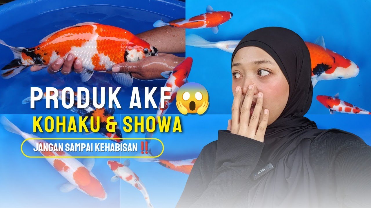 PRODUK AKF READY KEMBALI‼️HARGA BUKAN MAEN😱