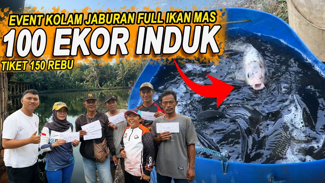 ADUL SAMPE KETETERAN !!! 100 LAPAK 100 EKOR INDUK DI PEMANCINGAN KAMPUNG IKAN DUA SAUDARA
