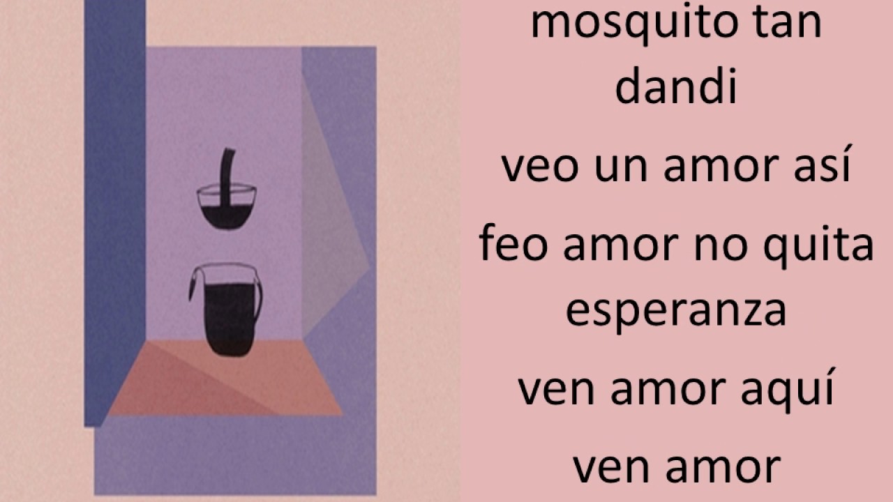 Devendra Banhart   Mi Negrita lyrics
