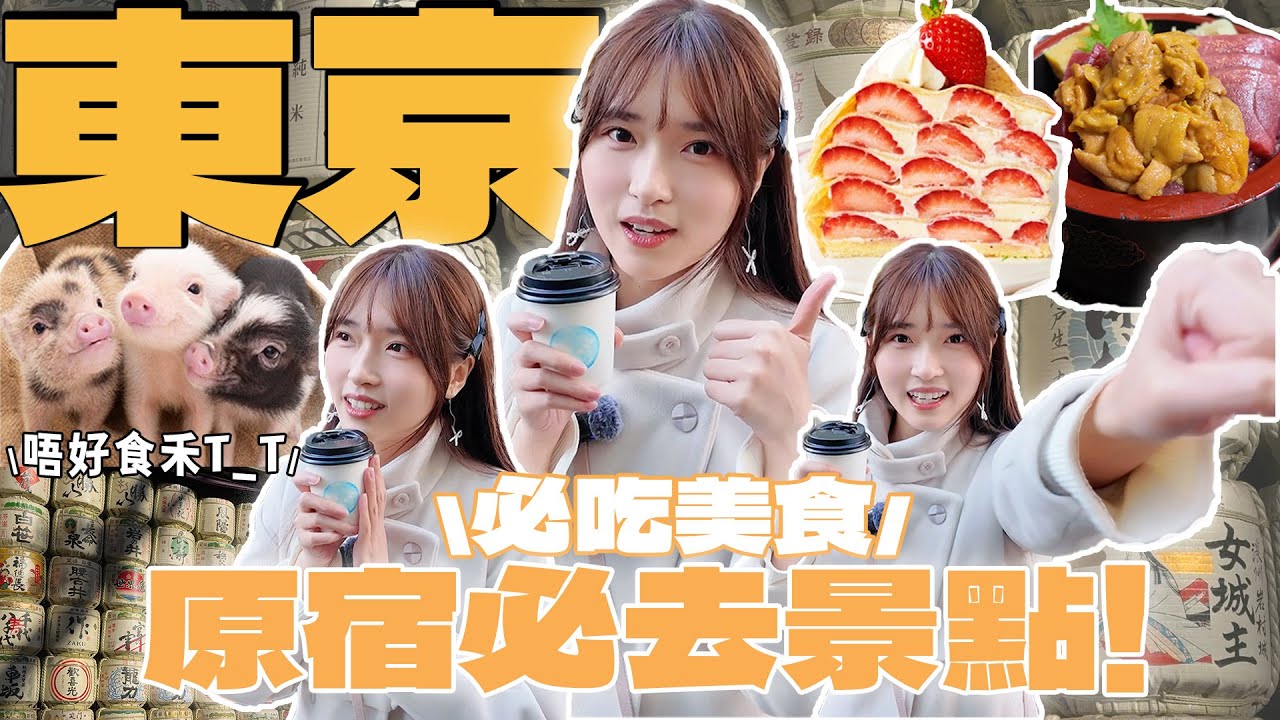 【日本東京VLOG】東京必去景點❗️必吃美食🍽️原宿竹下通迷你豬Cafe🐷Afternoon Tea水果千層蛋糕🍰明治神宮參拜⛩️秋葉原必吃魚生丼飯🍣