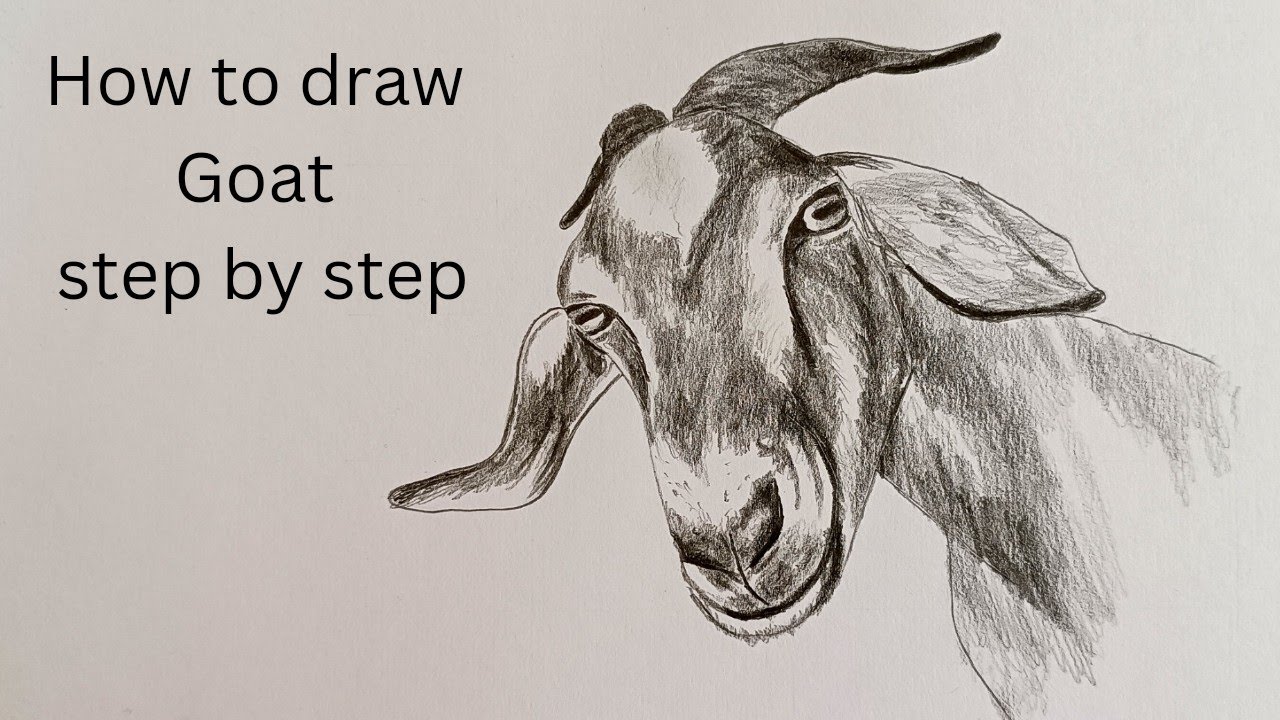 How to draw a goat step by step | Pencil sketch | Animal drawing easy | Drawing tutorial