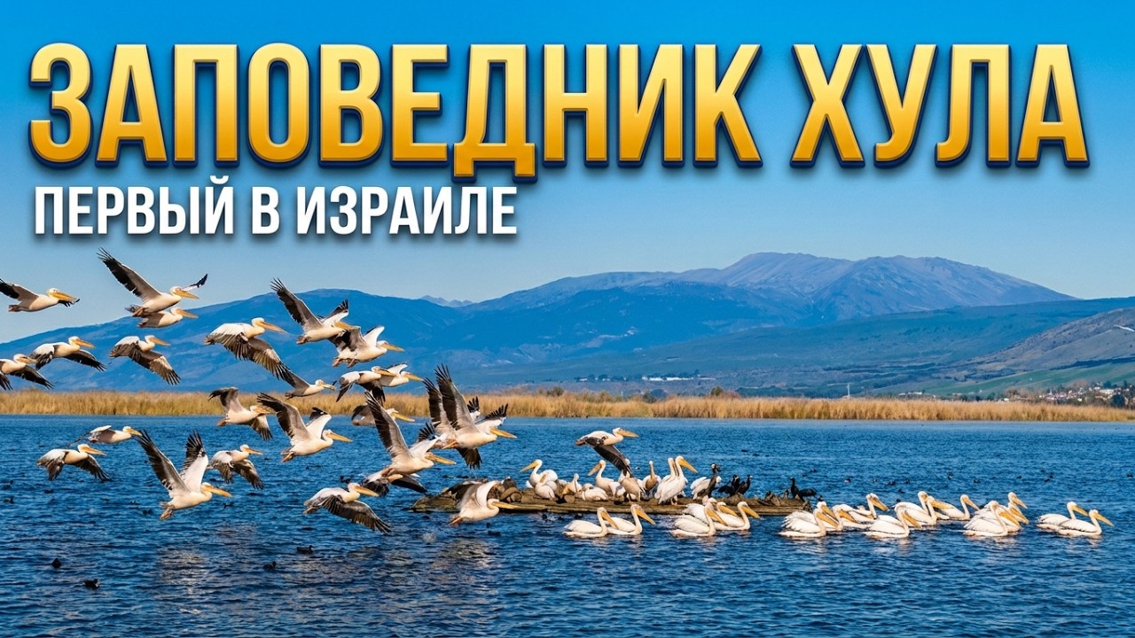 Израиль. Заповедник Хула