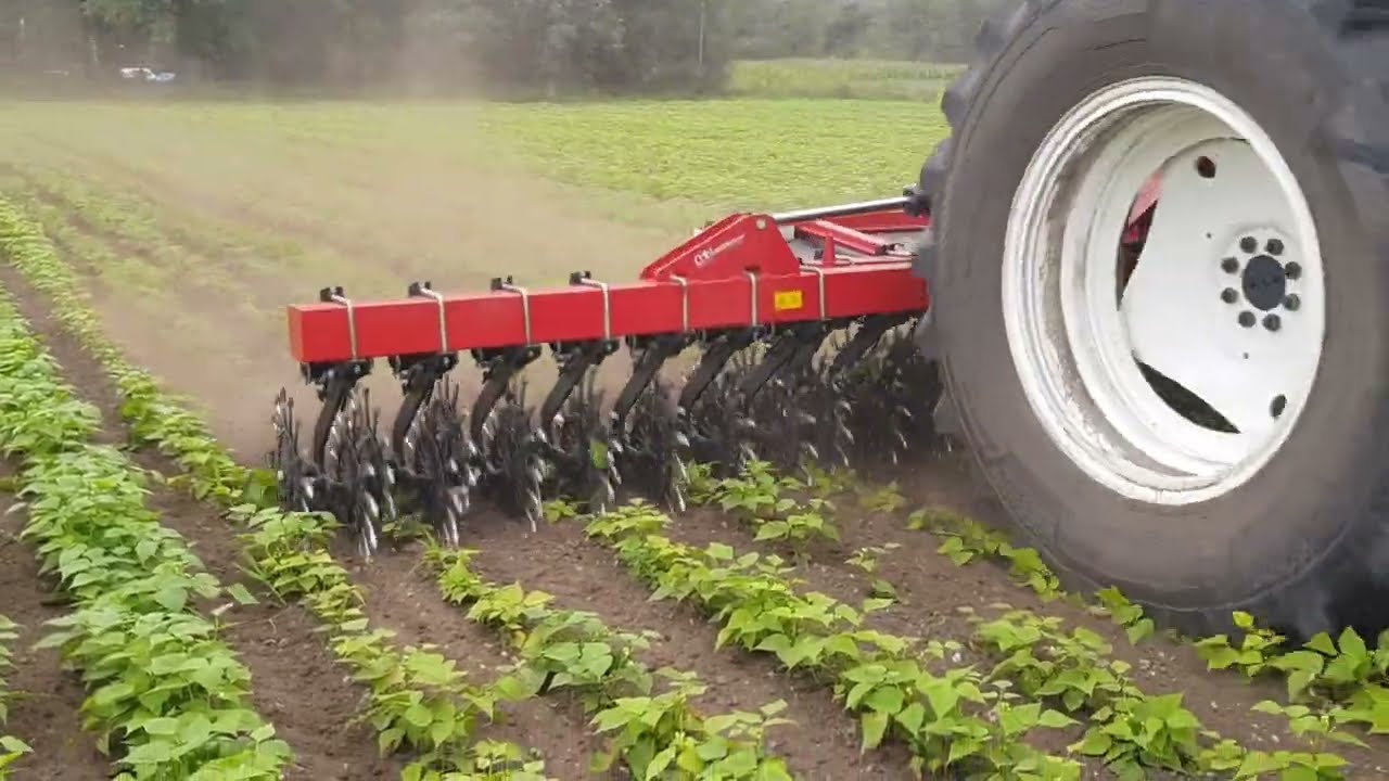 CMN Star Cleaner 2024 Roterende Wiedeg | Rollhacke | Rotary Hoe